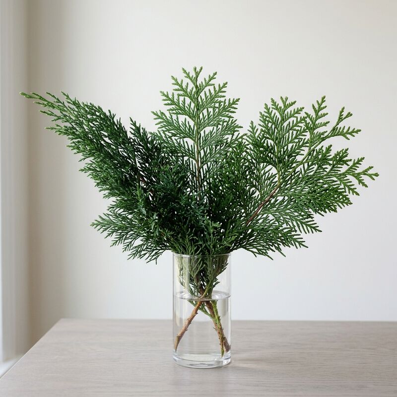 Steli recisi di Ginepro e tuia (Juniperus chinensis, Platycladus orientalis) in un vaso di vetro