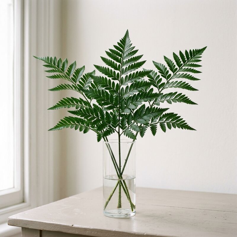 유리 꽃병에 꽂은 레더리프 펀(Rumohra adiantiformis)