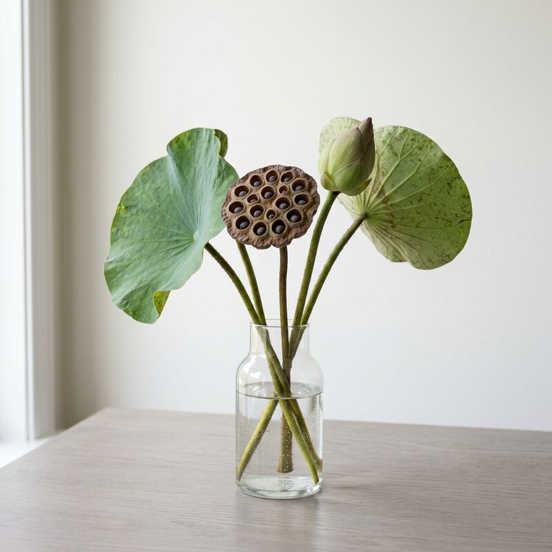 ガラスの花瓶に生けたハスの実(蓮台)(Nelumbo nucifera)