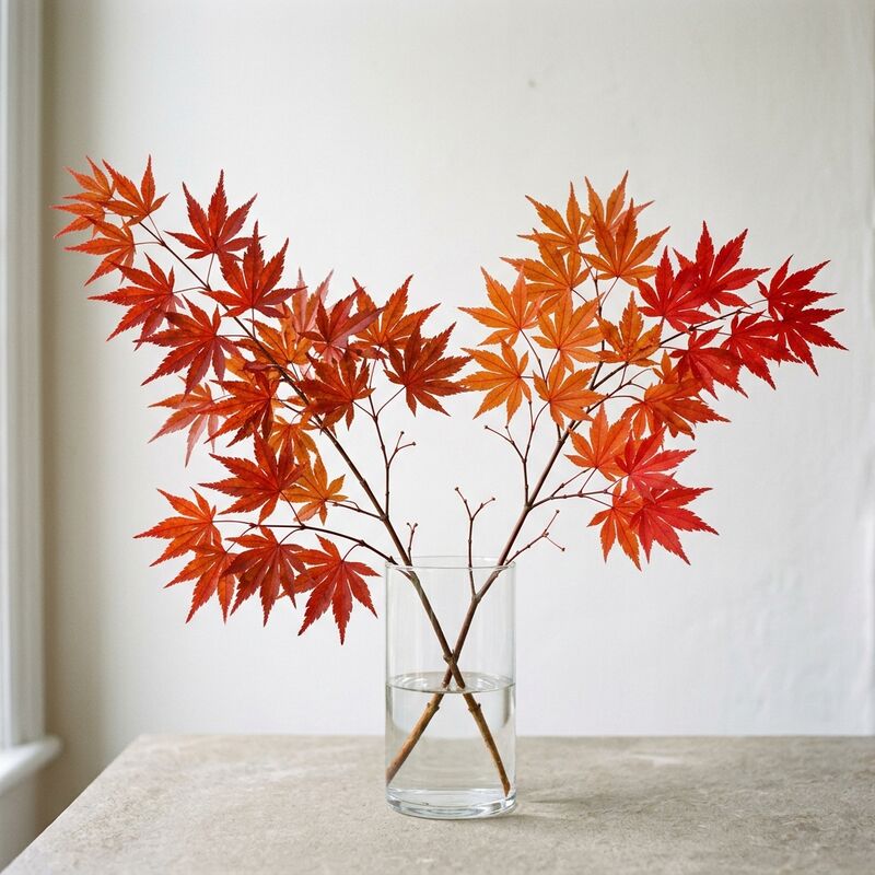 ガラスの花瓶に生けたモミジ(Acer palmatum)