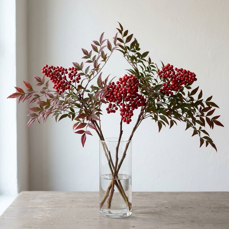 Steli recisi di Bambù sacro (nandina) (Nandina domestica) in un vaso di vetro